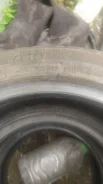 Evergreen. ������, ��� �����, �/�, ����� 50 % ����