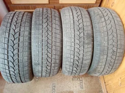 Tigar. ������, ��� �����, 2020 ���, �/�, ����� 50�% ����