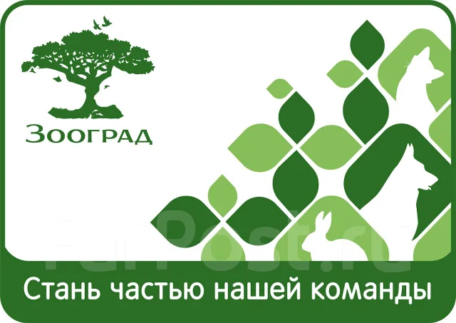 Ооо авто экспедитор