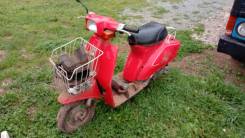 Suzuki Ran ����