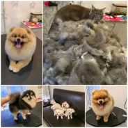 �������. ����