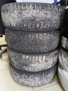 Nordman 7. ������, ����������, 2020 ���, �/�, ����� 60 % ����