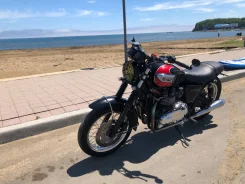 Triumph Bonneville T100. 900����. ��., ��������, ���������, ������ �� �� ����