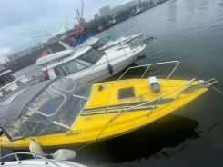 Stingray. 2005 ���, ����� 7,5��., ��������� ���������, 300��.�., ������ ����