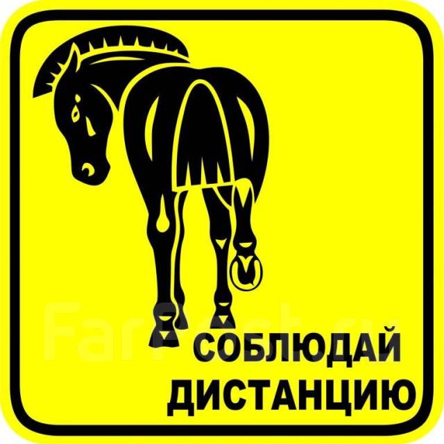 Знак "инвалид" съёмный на магните, присоске, наклейка купить во ...