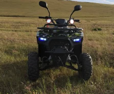 Yamaha Grizzly. ��������, ��� ���\���, ��� ������� ����
