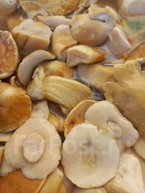 Грибы соленые из Алтая: грузди, белые, маслята - Домашние продукты в ...