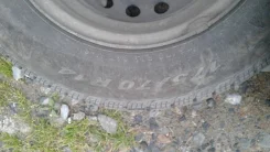 Pirelli Winter Carving Edge. �����������, �/�, ����� 70�% ����