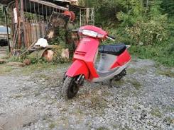 Honda Lead 50. 49����. ��., ��������, ��� ���, ��� ������� ����