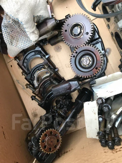 ��������� ����