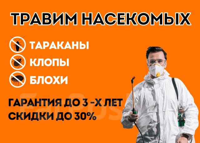 уничтожение и дезинсекция: тараканы, клопы, шершни крысы 100% гарантия .... подать объявление. частные объявления и пред