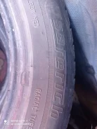 Saferich. ������, ��� �����, 2019 ���, �/�, ����� 5 % ����