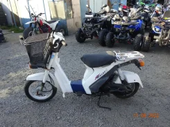 Suzuki Mollet ����