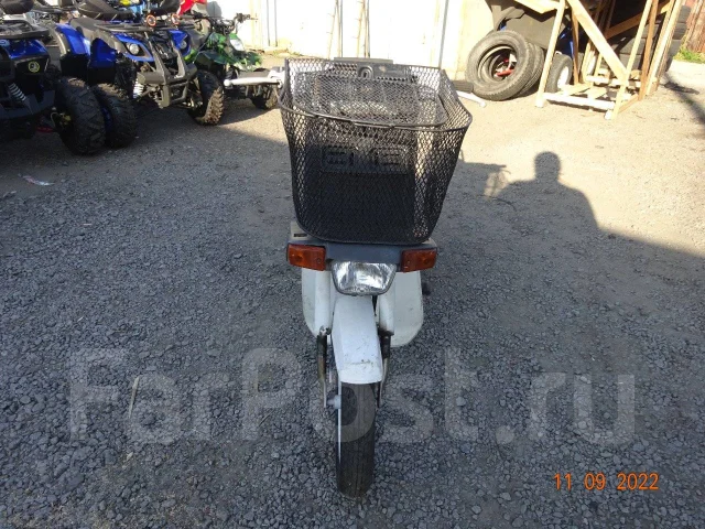 Suzuki Mollet ����