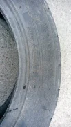 Falken Ziex ZE914A. ������, �/�, ����� 30 % ����