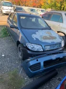 Fiat Punto. ZFA18800004911348 ����