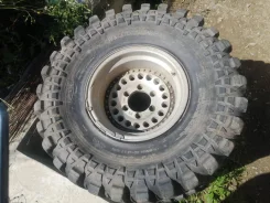 Lanvigator. ����� mt, �/�, ����� 80 % ����
