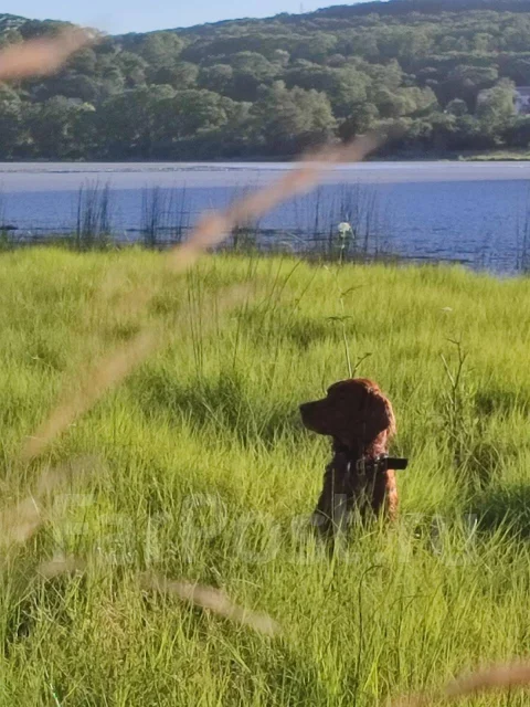 ���������� ������. ����