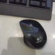 ���� ������������. ����