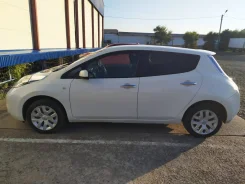 Nissan Leaf. ��������, �������������, 125 000����. �� ����