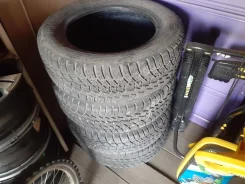 Kleber Kapnor. ������, ����������, 2019 ���, �/�, ����� �� 5 % ����