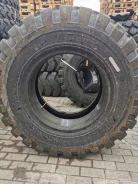 Marcher W-2. �����������, 2022 ���, ����� ����
