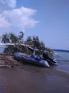 �������� ������. 2013 ���, ����� 3,4��., ��������� ��� ���������. ��� ����� �� ������������ ����