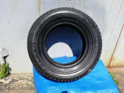Falken Espia EP01. ������, ��� �����, �/�, ����� 5 % ����