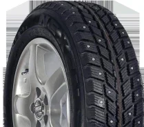 Roadstone Winguard 231. ������, ����������, ����� ����