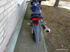 Suzuki GSF 1250S Bandit. 1 250����. ��., ��������, ���������, ������ �� �� ����