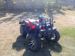 ABM Ninja 110. ��������, ���� ���\���, � �������� ����