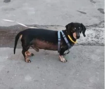 �����. ����