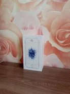 Apple iPhone SE. �/�, �����������, 4G LTE, NFC ����