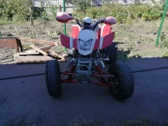 Irbis ATV250S. ��������, ���� ���\���, � �������� ����