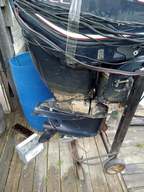 Evinrude. 115��.�., 2-�������, ����������, ���� L (508 ��), 2012 ��� ����