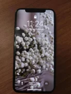 Apple iPhone Xs. �/�, �������, 4G LTE, NFC ����