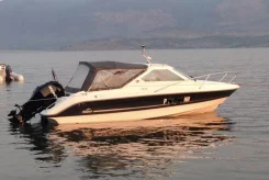 Flipper. 2010 ���, ����� 6,3��., ��������� ���������, 115��.�., ������ ����
