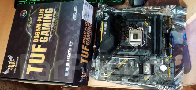 Материнская плата ASUS TUF B365M-PLUS Gaming - Материнские платы во ...