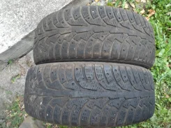 Nordman 5. ������, ��� �����, �/�, ����� 70 % ����