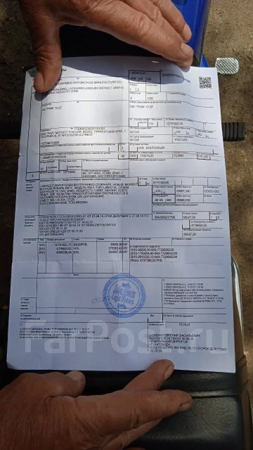 Xingyue. 50����. ��., ��������, ���������, ������ �� �� ����