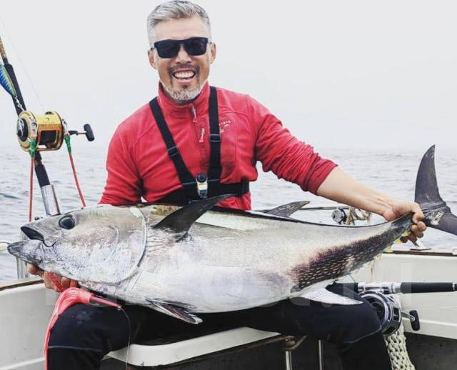 Голубой тунец на сахалине. Поймали голубого тунца сахалин. Голубой тунец на сахалине. Голубой тунец. В уэльсе поймали огромного тунца.
