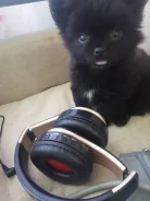 ������. ����