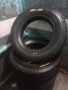 Forward Professional 156. ������, ����������, 2020 ���, �/�, ����� �� 5 % ����