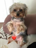 ����������� ������. ����