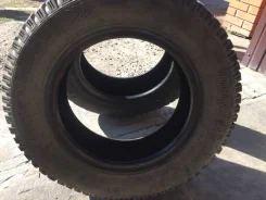 Tunga. ������, ����������, 2020 ���, �/�, ����� 30�% ����