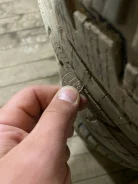 Delinte Winter WD4. ������, ��� �����, �/�, ����� 10�% ����