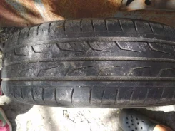 Cordovan. ������, �/�, ����� 40�% ����