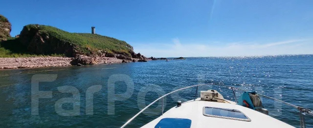 Searay. 1991 ���, ����� 7,4��., ��������� ������������, 250��.�., ������ ����