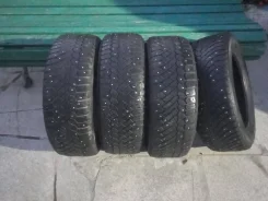 Continental Contact. ������, ����������, 2017 ���, �/�, ����� 30�% ����