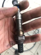 ����������� ������ 36531PEL003 ����